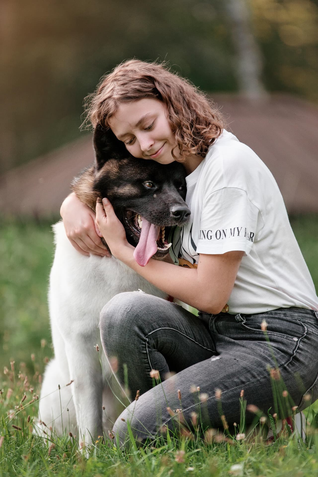 Korean pet products for global importers — dog with owner